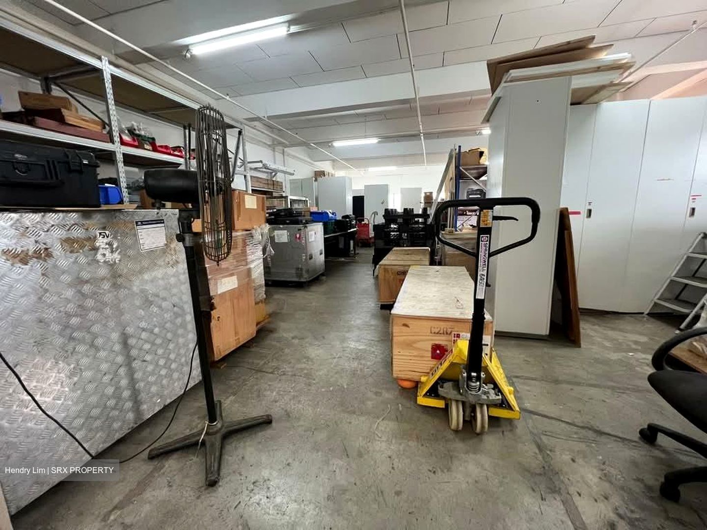 Perfect One (D13), Factory #557096561